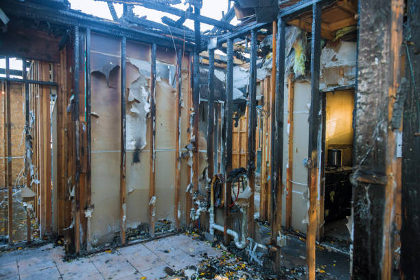 Professional Fire Damage Repair technician working in Deer Park, OH